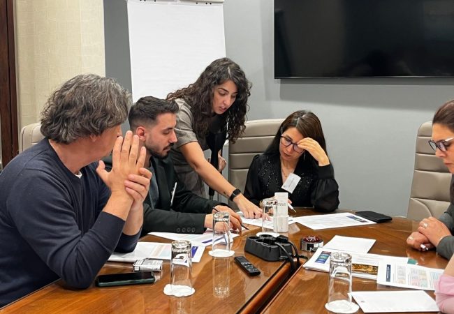 Irene-Serrano-Neira-consultora-salud-mental-internacional